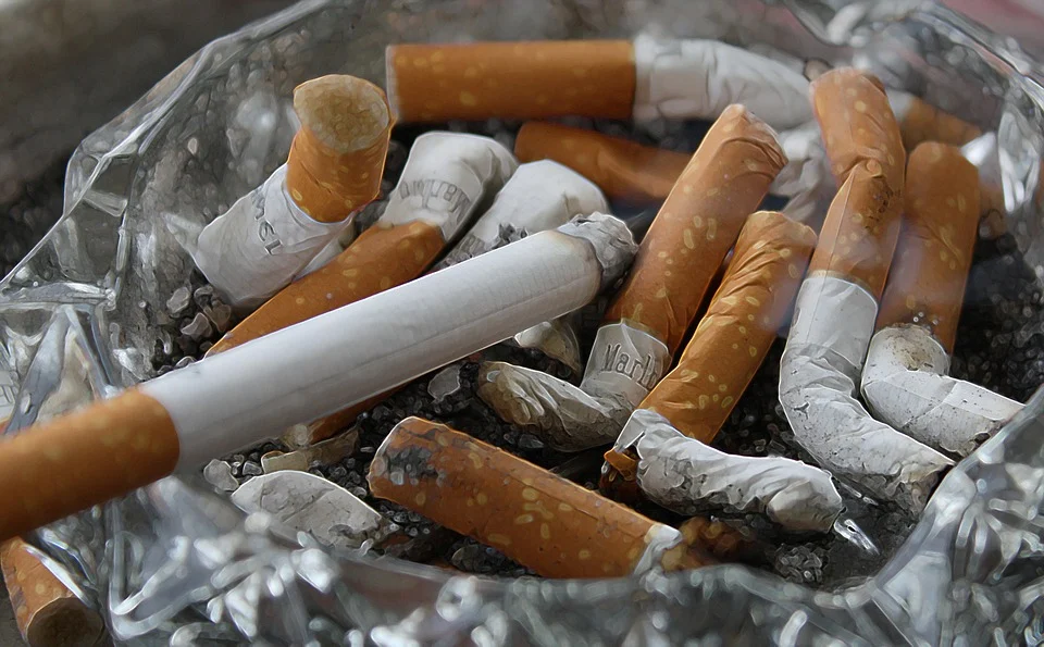 政府突发禁令，今天起荷兰公共建筑内全面禁烟，细则进来看